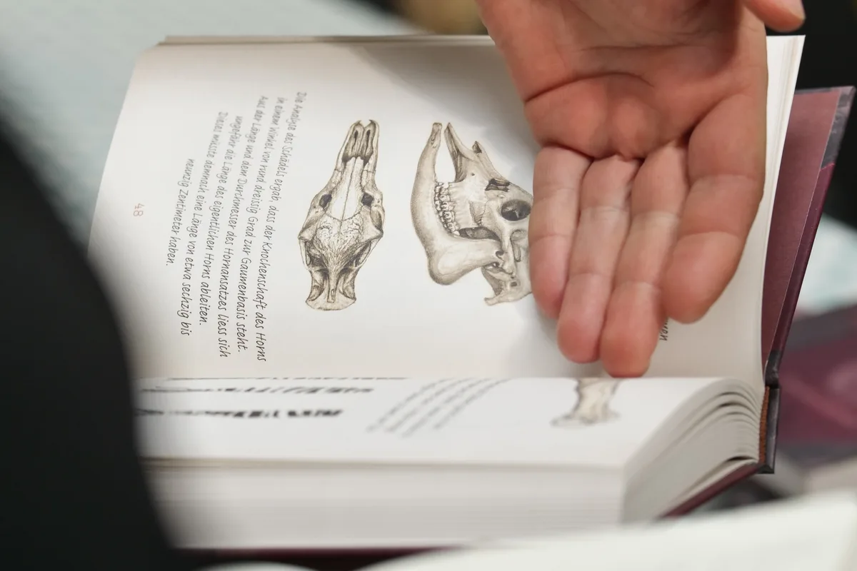 Atlant Bieri präsentiert sein neues Buch mit einem Improvisationstheater im Sauriermuseum.